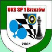 logo: UKS SP 1 Brzozów